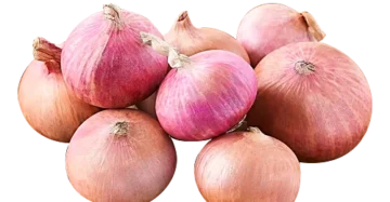 Onion (Pyaz)
