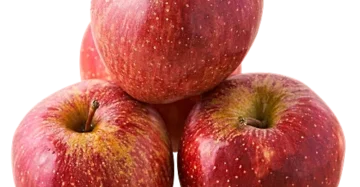 Apple - Shimla, 4 pcs (Approx. 510 to 560 g)