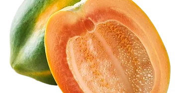 Papaya