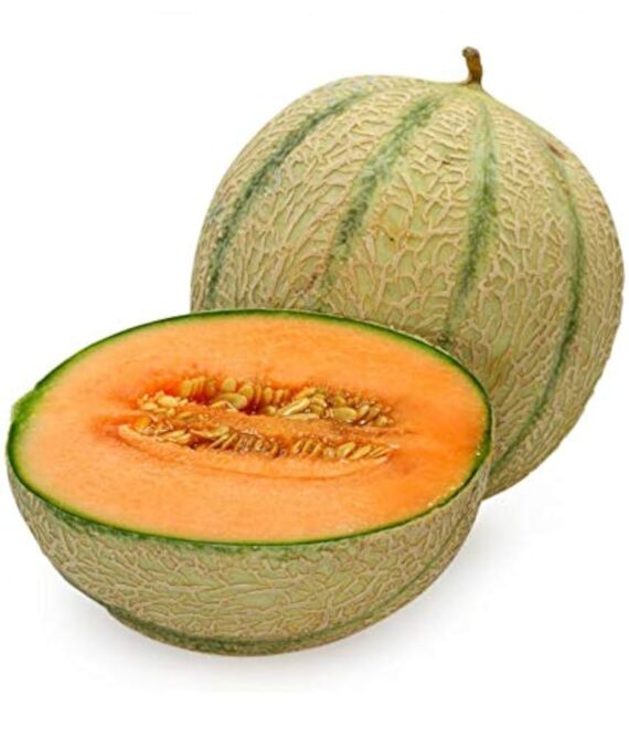 Muskmelon (Kharbuja)