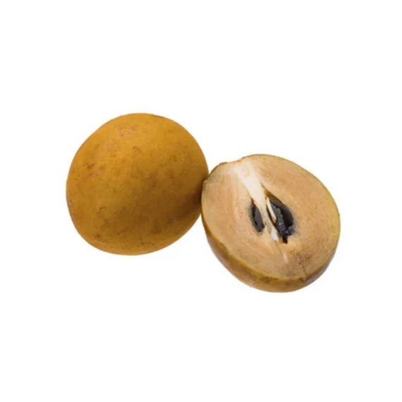 Chikoo (Sapota)