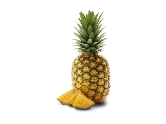 Pineapple (Ananas)